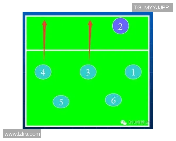 南京排球队反击战术深度解析与实战应用探讨